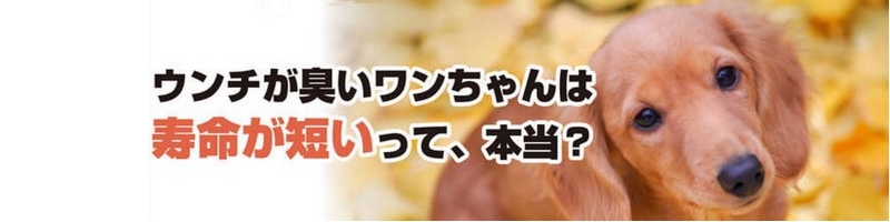 �����̃E���`���L���̂���������T�v���y�����ƈꏏ�������z���T�C�g